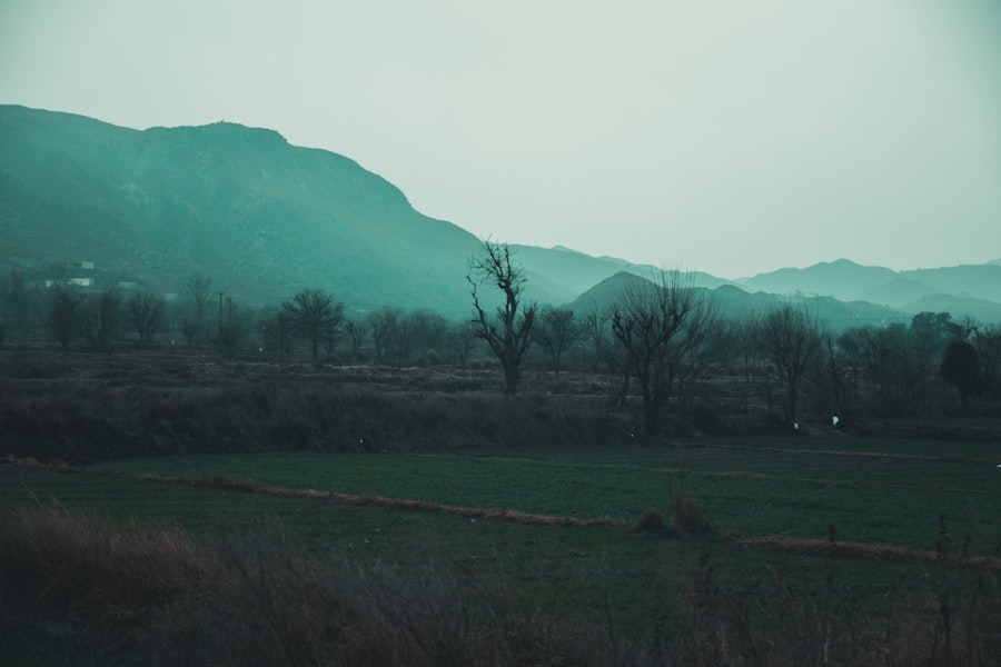 Valley of Despair