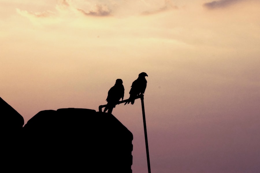 Confidence vs Competence