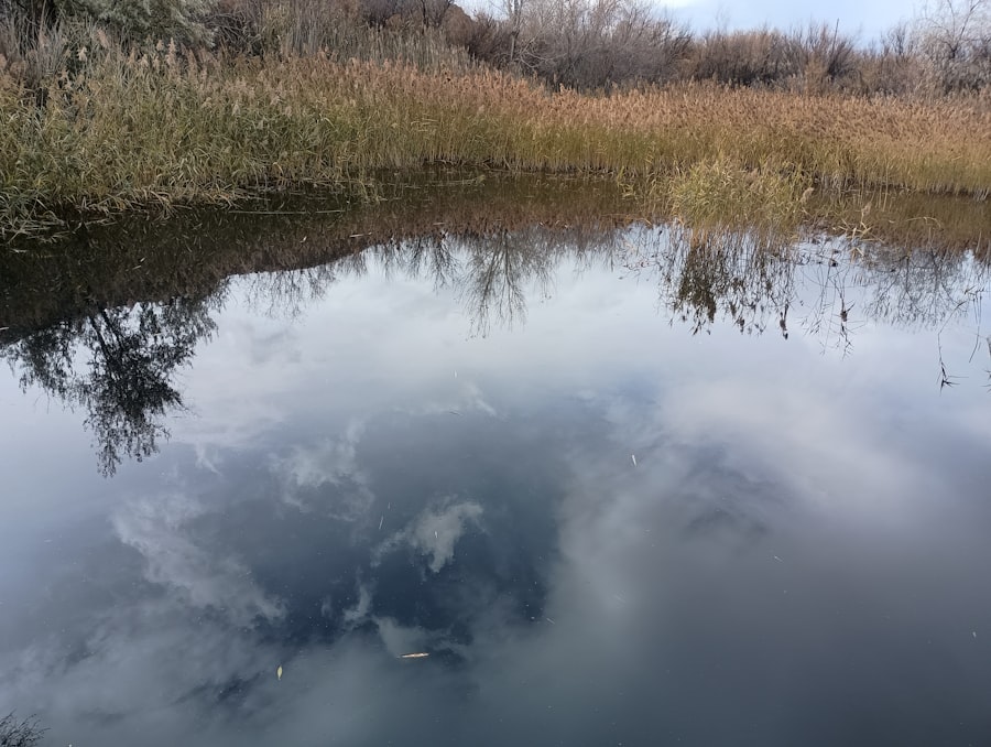 Self-Reflection Techniques