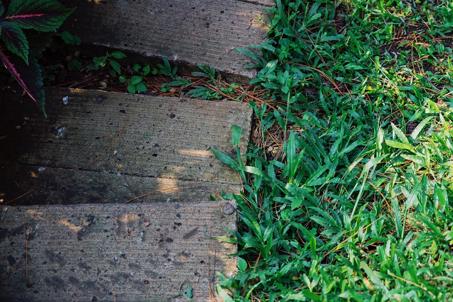 Photo dopamine tolerance trap