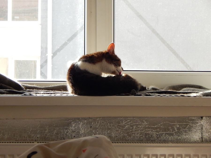 Photo productivity mice