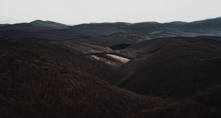 Photo Valley of Despair