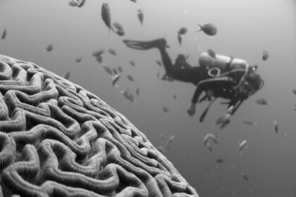 Photo Metacognition Skills