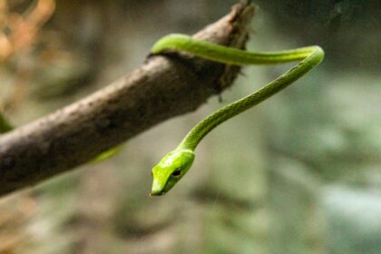 Photo Learning Curve Stages