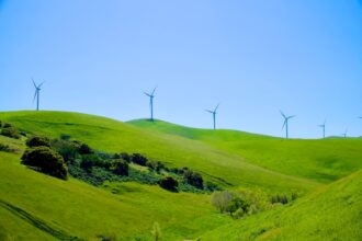 Photo Sustainable Productivity