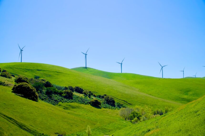Photo Sustainable Productivity