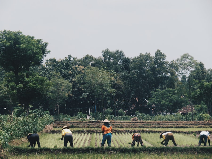 Photo Sustainable Productivity