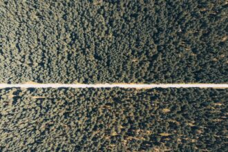 Photo Dunning-Kruger Effect