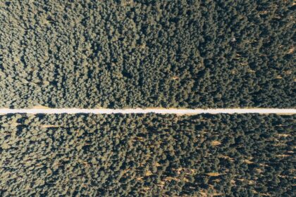 Photo Dunning-Kruger Effect