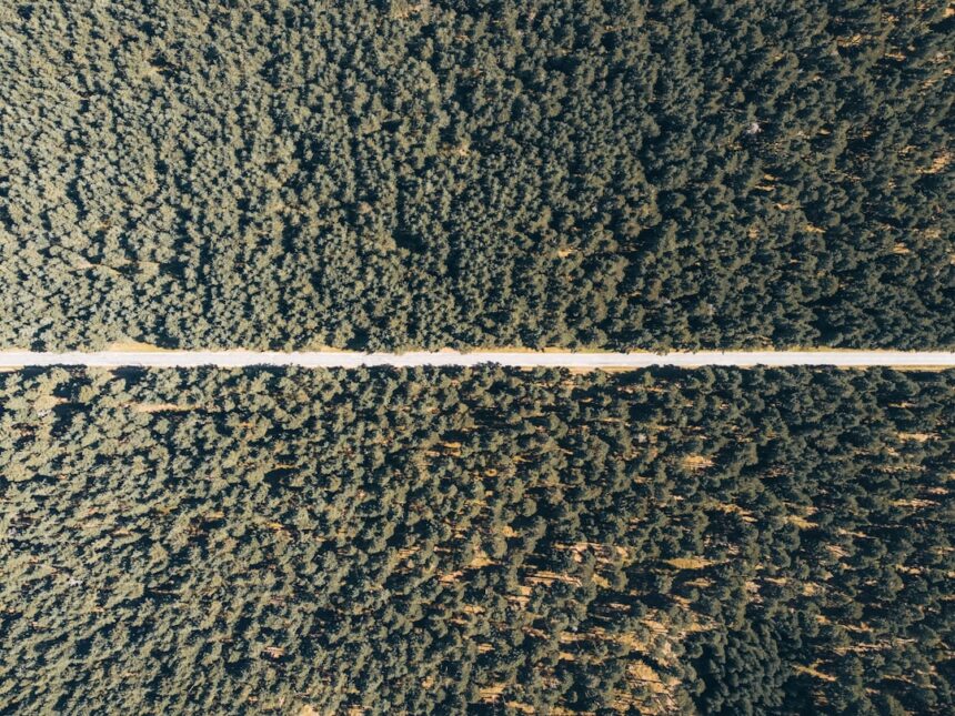 Photo Dunning-Kruger Effect