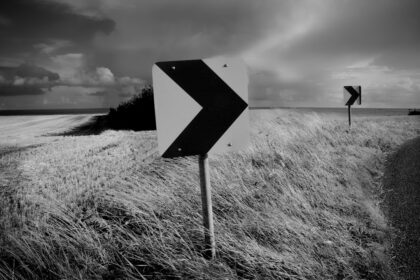 Photo Decision Fatigue