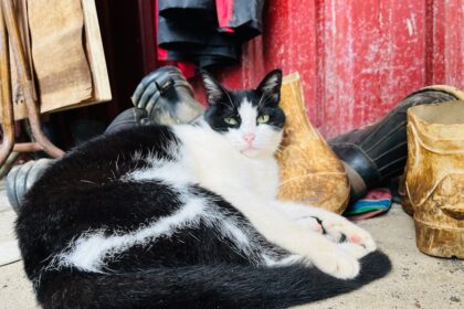 Photo tired and lazy