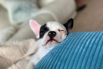 Photo feeling guilty about resting