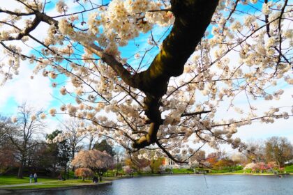 Photo hustle culture