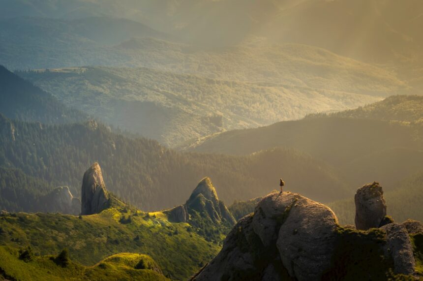 Photo mindset shift