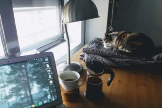 Photo productivity channels