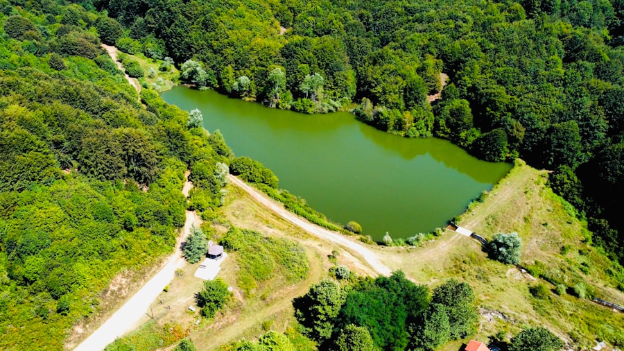 background stimulation