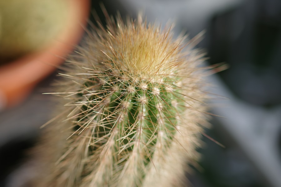 cortisol spike symptoms