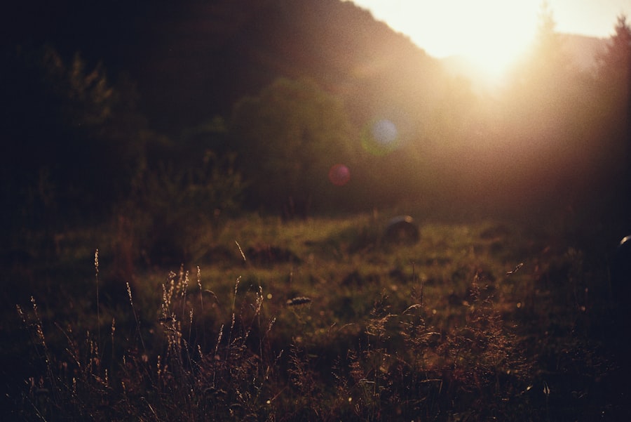 burnout recovery strategies