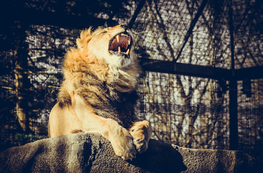 manage fear of criticism