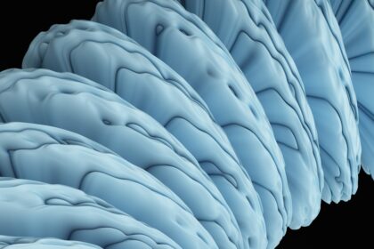 Photo association building brain science