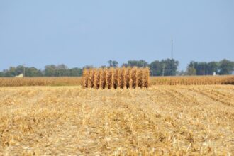 Photo harvest signals