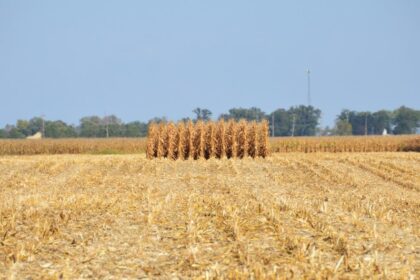 Photo harvest signals