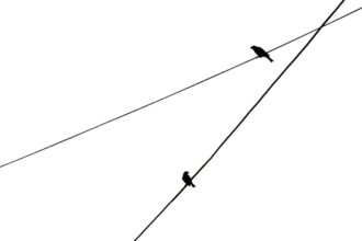 Photo avoidance loop