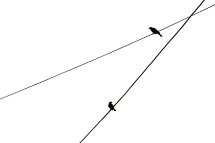 Photo avoidance loop