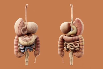 Photo nervous system