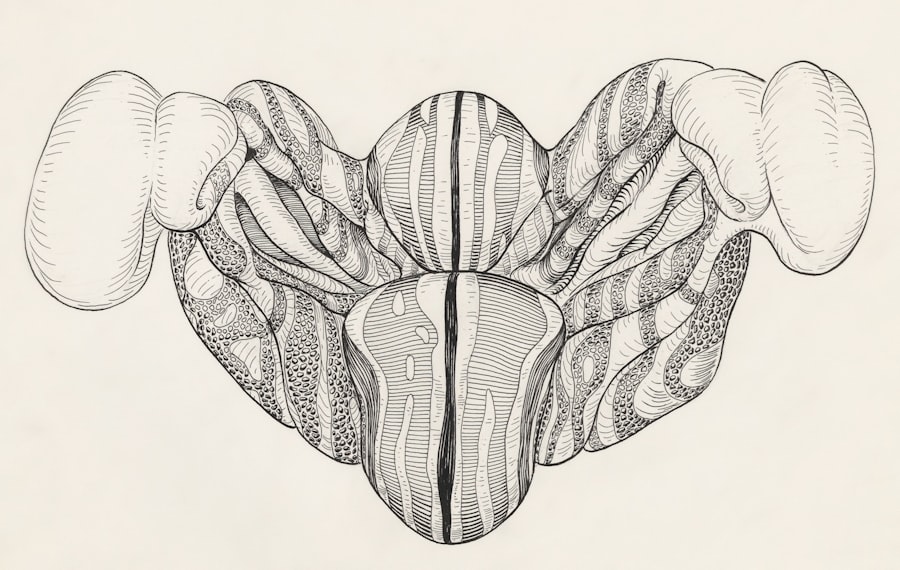 Photo nervous system