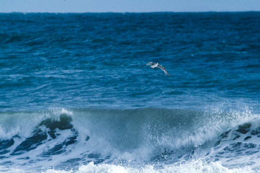 Photo emotional waves