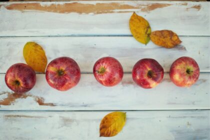 Photo perfectionism cycle