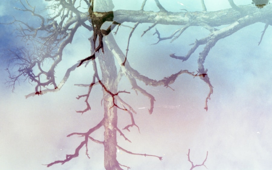 Photo nervous system safety conditioning