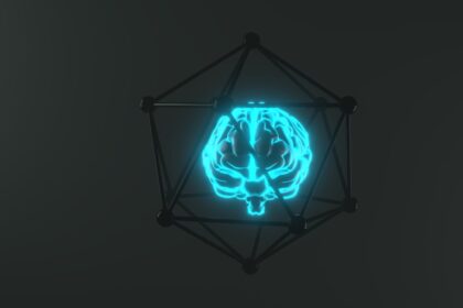 Photo trick brain finishing