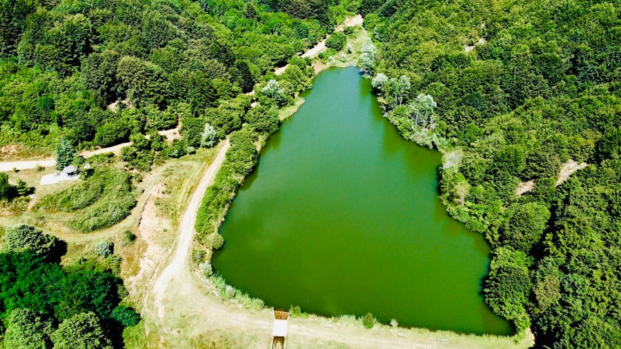 Photo background stimulation