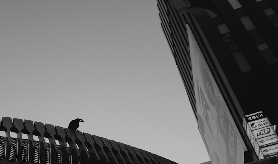 Photo procrastinator