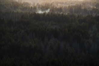 Photo environment shaping