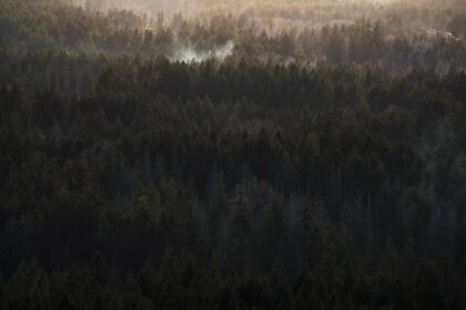 Photo environment shaping