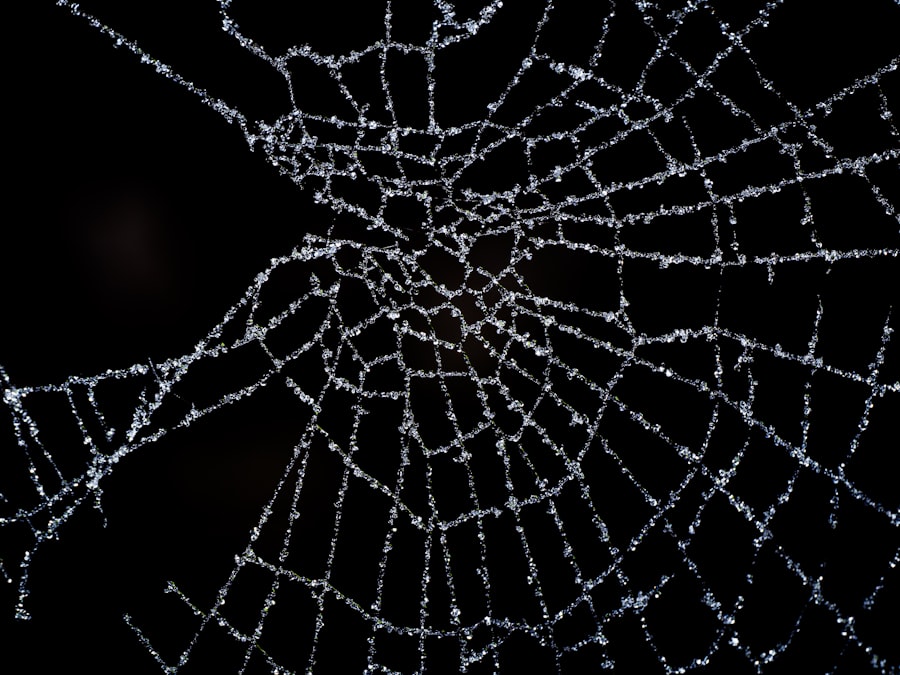 Photo design by constraint