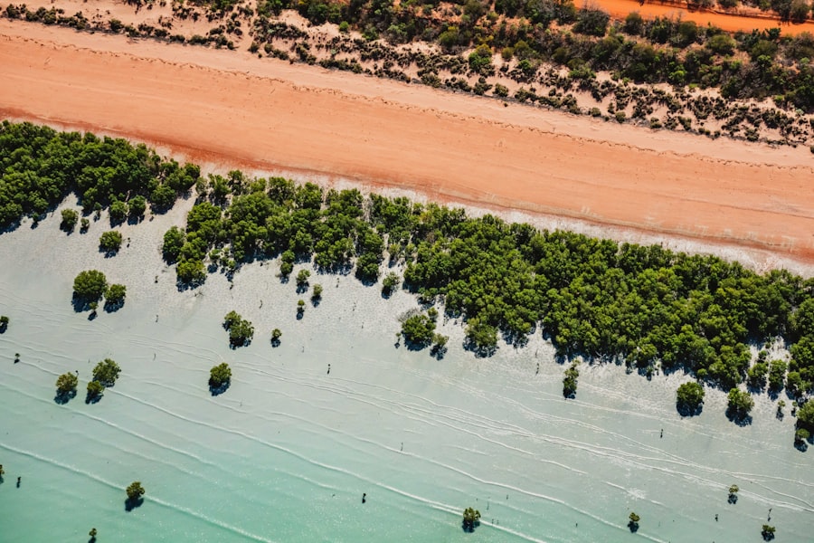 Photo environment design