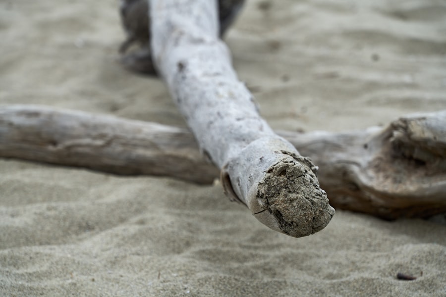 shame resilience framework