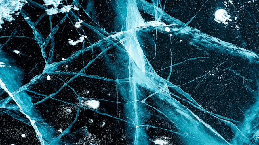 nervous system threat response