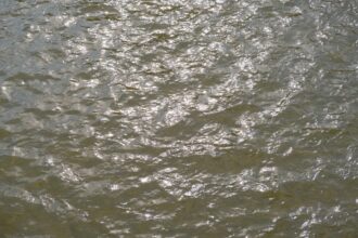 Photo king tide flooding