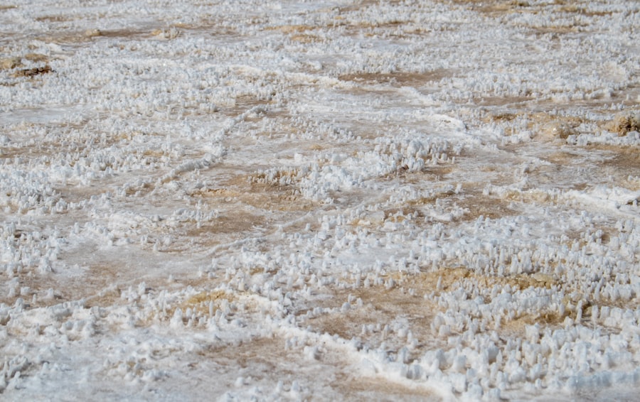 Photo king tide flooding