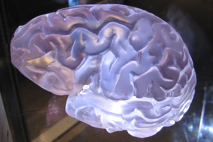 Photo dopamine reward prediction error