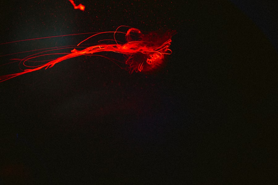 Photo dopamine neurons