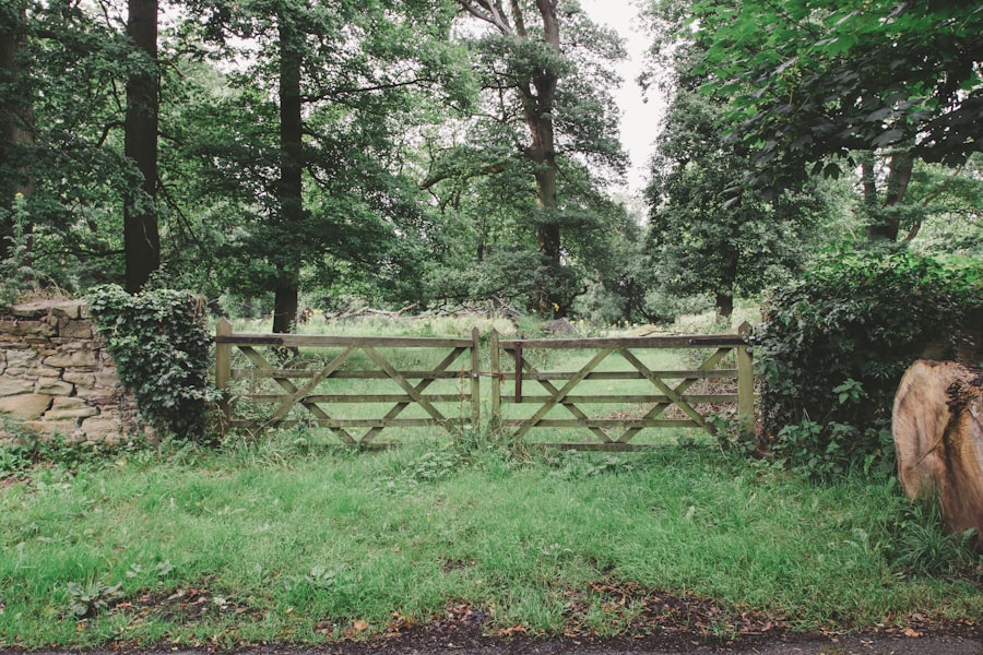 Photo quality gates