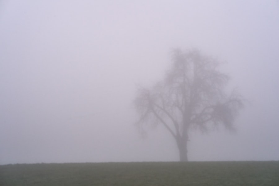 Photo visibility framework