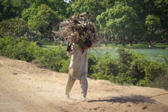 Photo sustainable work habits